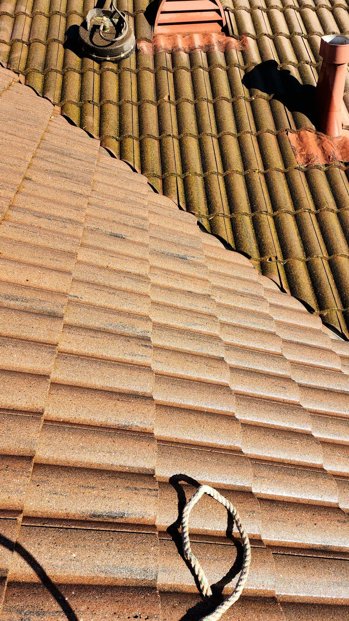 This photo shows a roof in Morgan Hill, CA, with one section cleaned and another section covered in algae and moss. It highlights the effectiveness of professional roof cleaning in removing stubborn growths to restore the roof